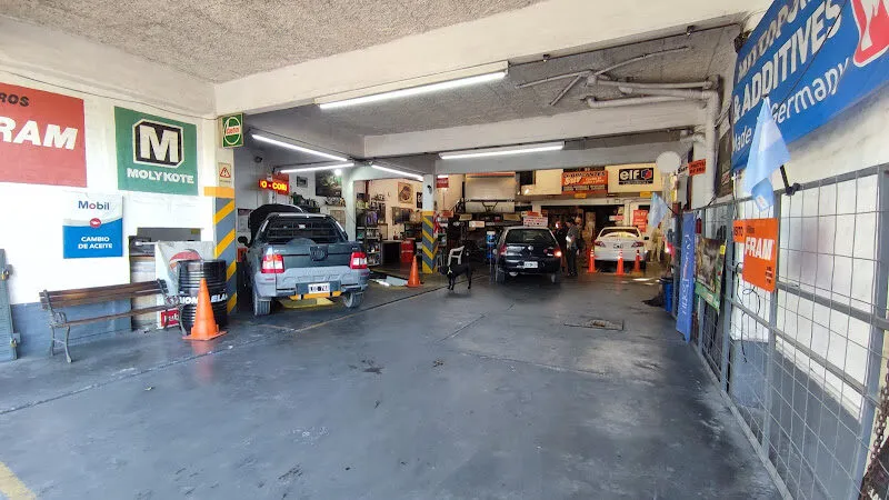Interior de Lubricantes Sur con vehículos y cartelería de lubricantes
