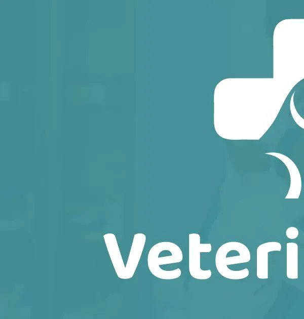 Detalle visual de Veterinaria San Patricio